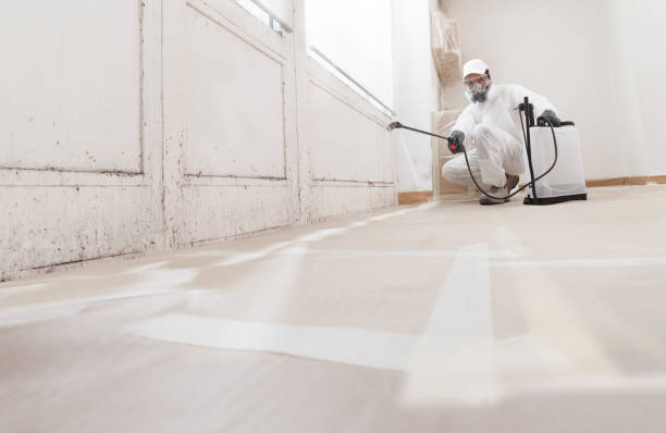 24/7 Emergency Mold Removal experts in Wilmington, MA