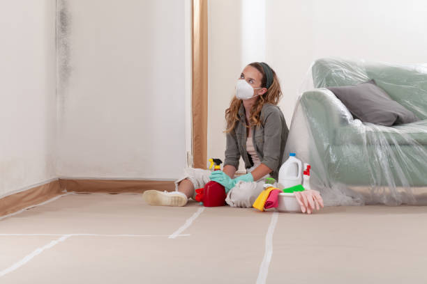 Reliable Mold Removal contractor in Wilmington, MA by Mold Remediation HQ